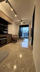 Irwell Hill Residences (D9), Apartment #554540301